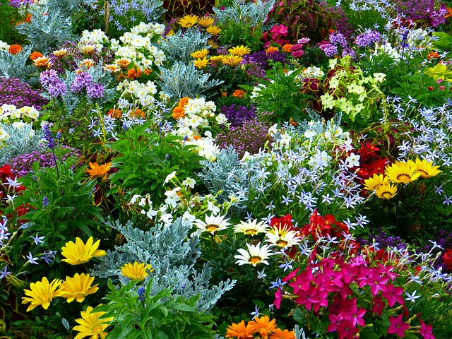 A flower garden holds many different types and colors of flowers